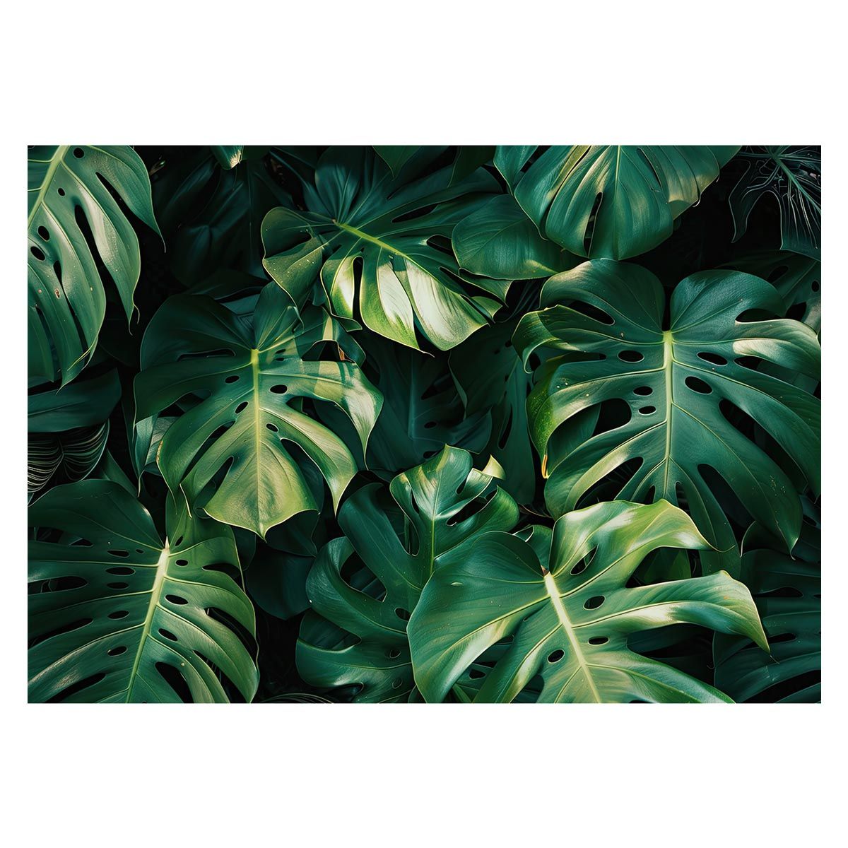 FAMILY PARTY 2025 EXILE　クッション　SHOKICHI FAMILY PARTY 2025 EXILE クッション SHOKICHI FAMILY PARTY 2025