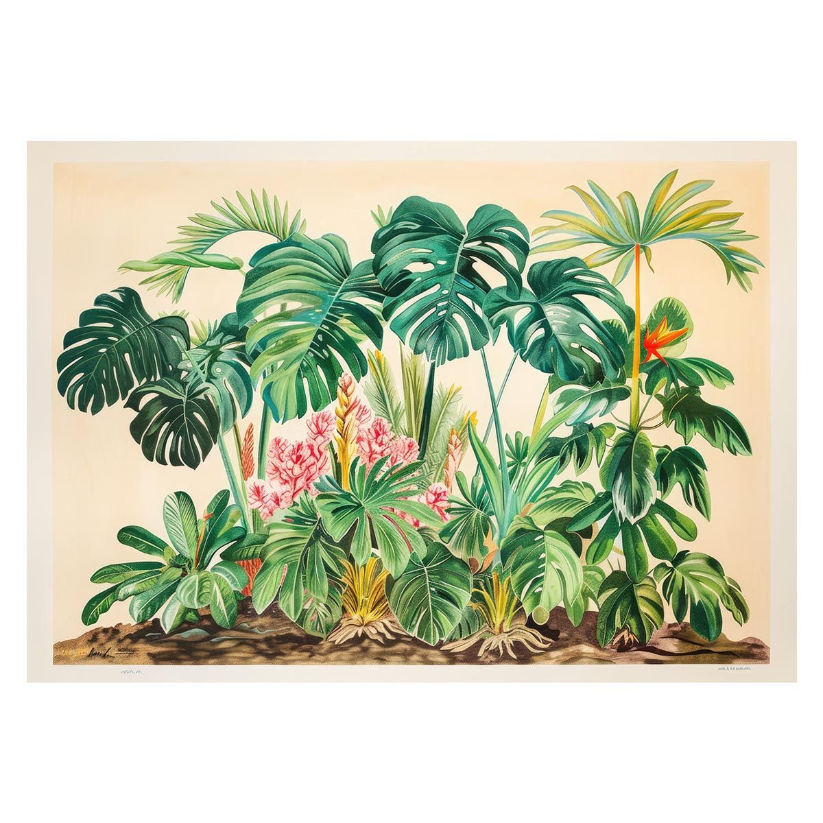 A1サイズ（約59x84cm）】【lh-poster-4421】モンステラポスター