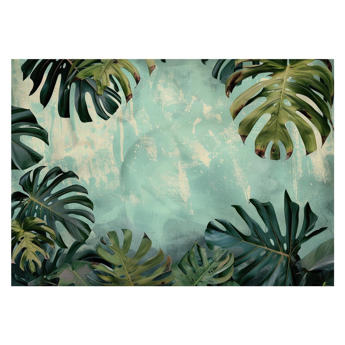 珊瑚 長方形鉢 渡辺一興