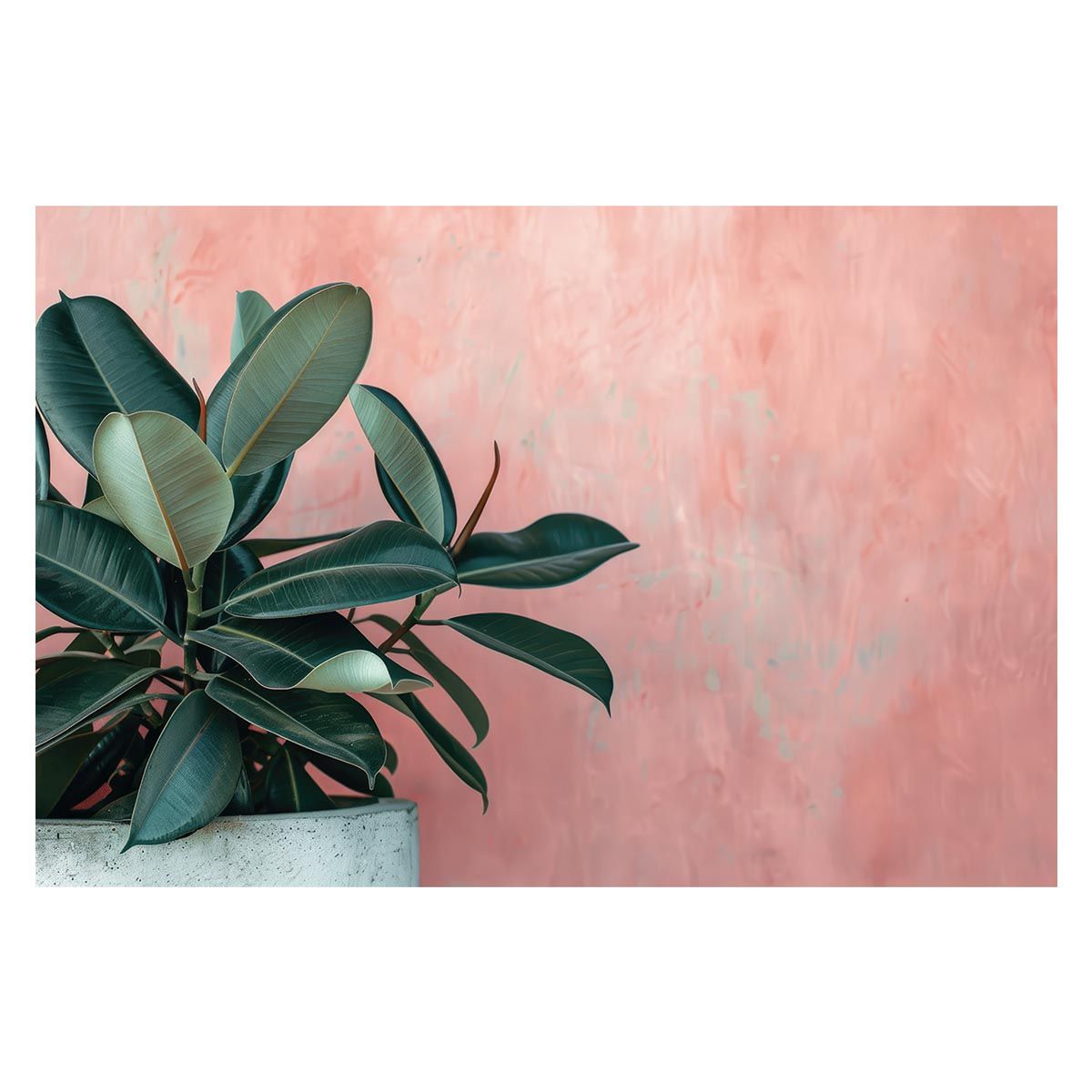 2024 スモーキークォーツ