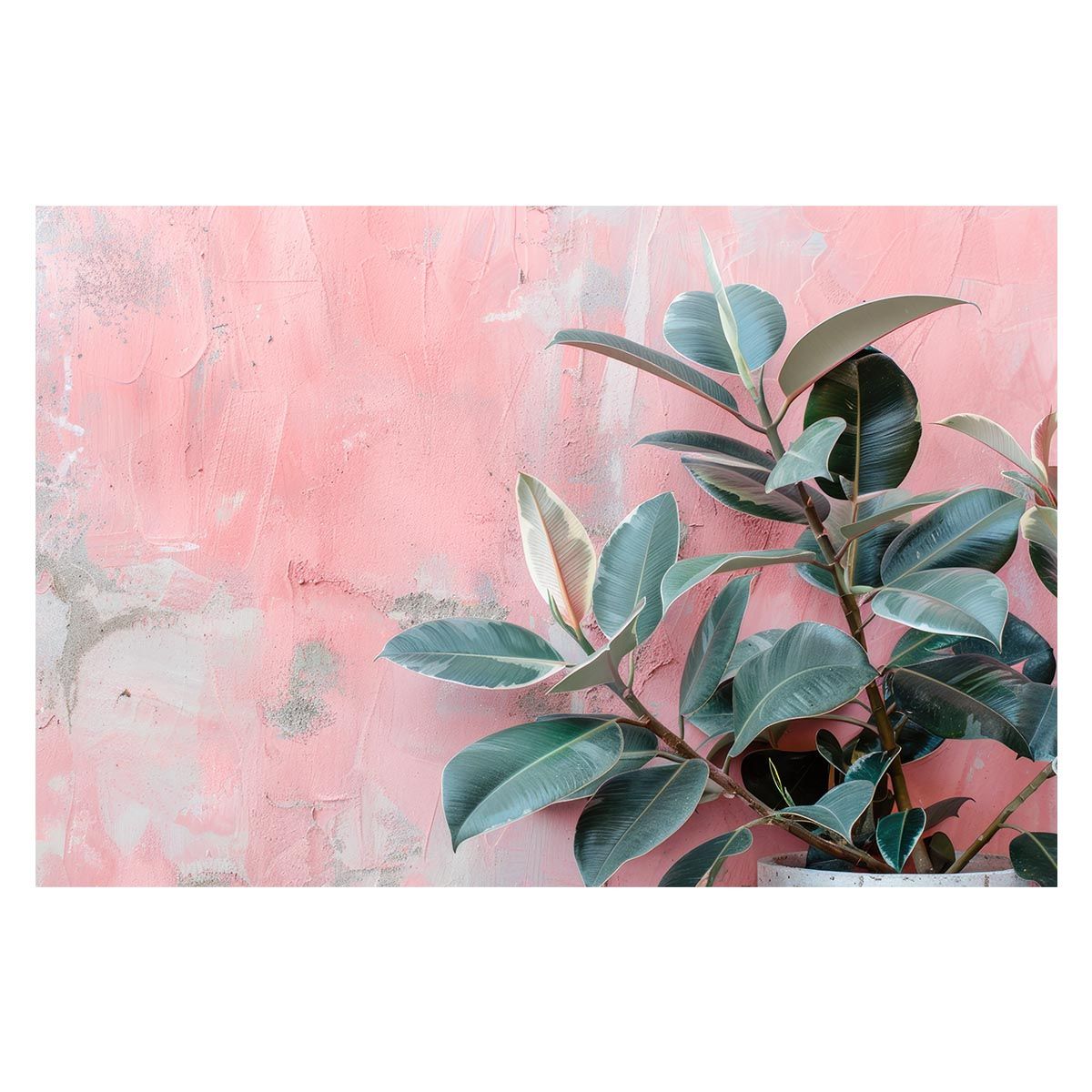 【A1サイズ（約59x84cm）】【lh-poster-4510】ゴムの木 フィカス 植物 グリーン 葉っぱ 観葉 ポスター ボタニカル 草 自然 インテリア アート