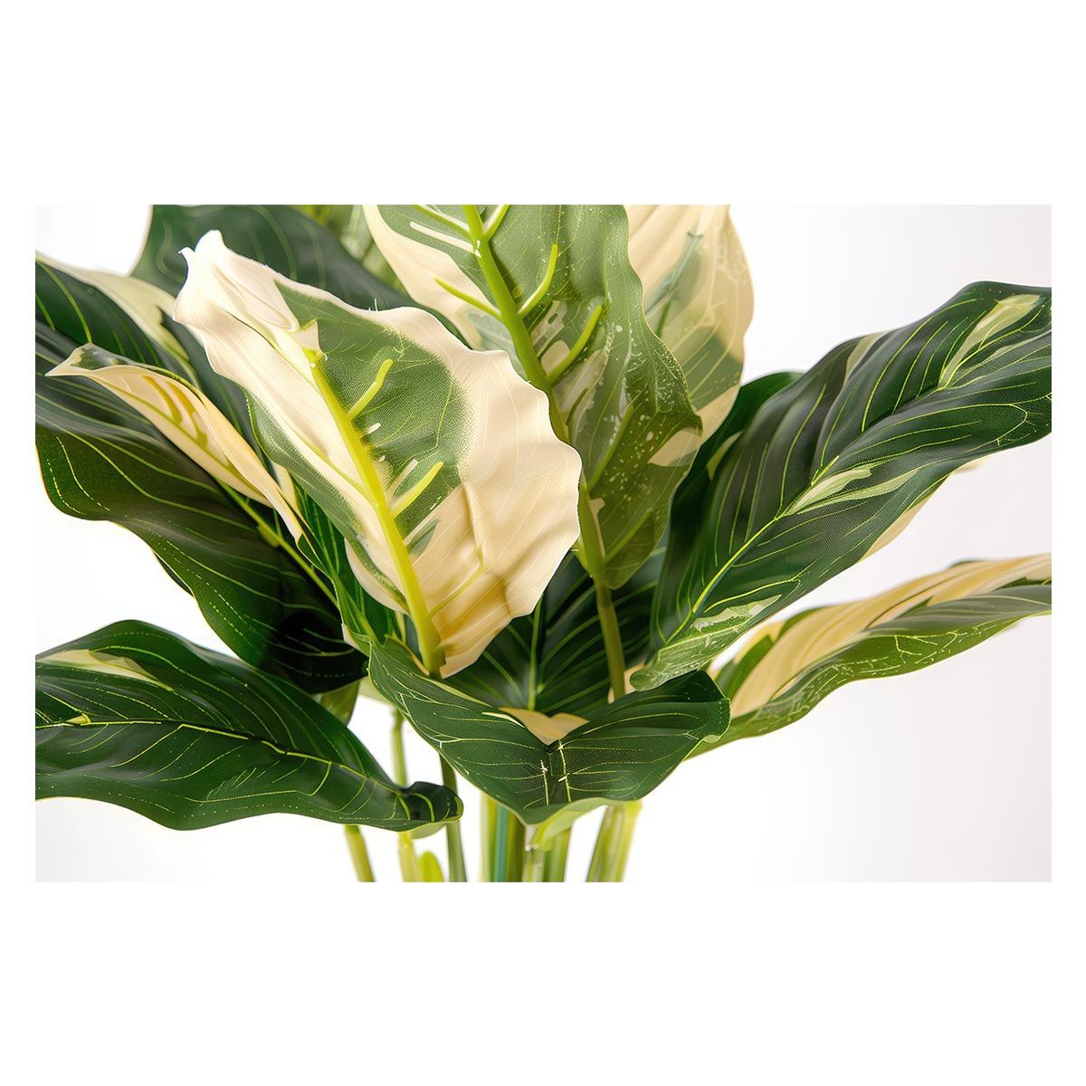 A1サイズ（約59x84cm）】【lh-poster-4513】植物 グリーン 葉っぱ 観葉