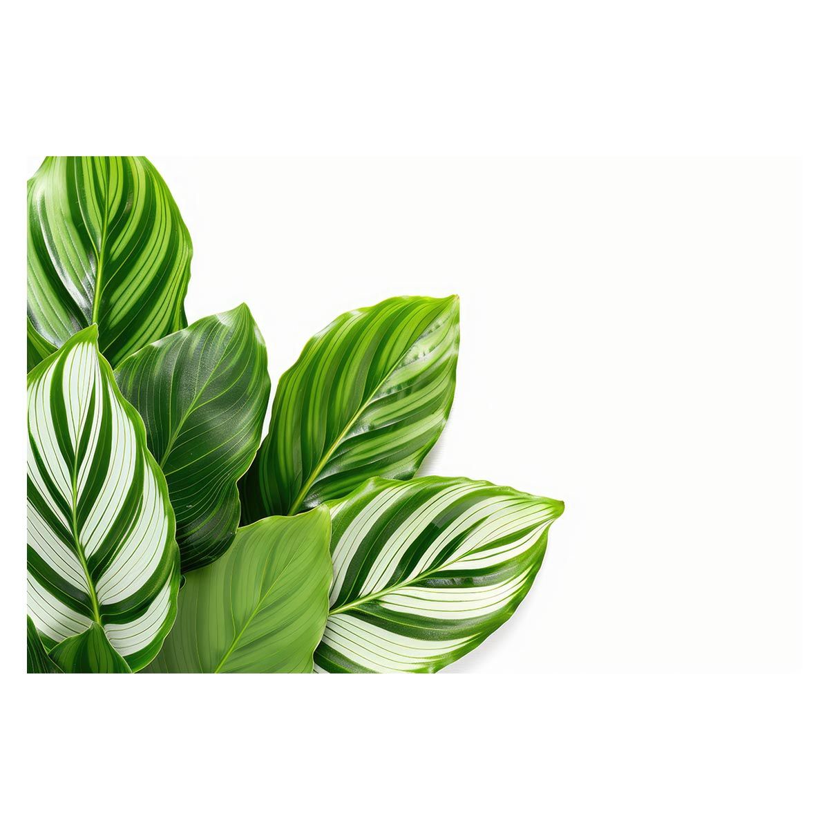 【B1サイズ（約73x103cm）】【lh-poster-4515】植物 グリーン 葉っぱ 観葉 ポスター ボタニカル 草 自然 インテリア アート