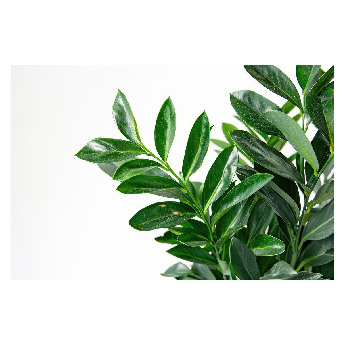 【限定版】DRIVE 1993～2026 -GLAY complete BEST 1736088689?v=1