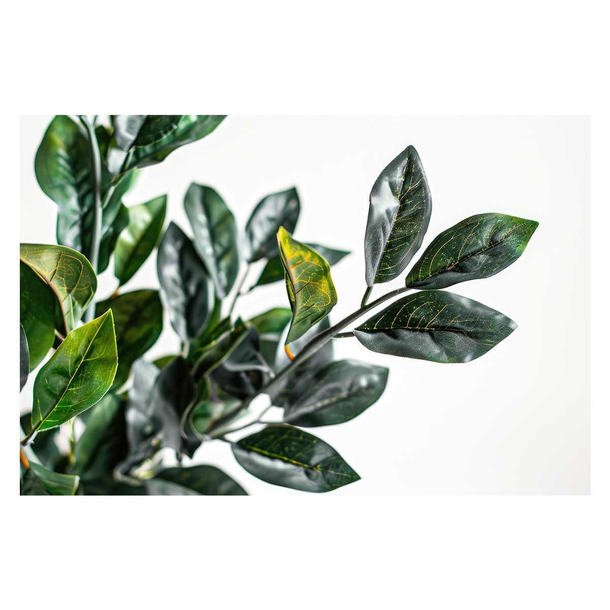 高品質 【YA創刊〜連載終了】 新世紀エヴァンゲリオン関連切り抜きセット