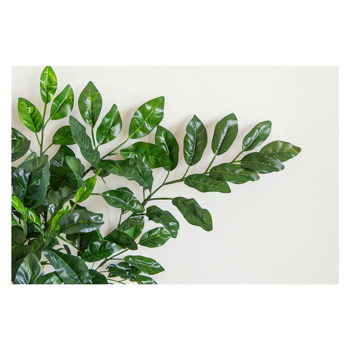 ベスト 【A1サイズ（約59x84cm）】【lh-poster-4535】植物 グリーン