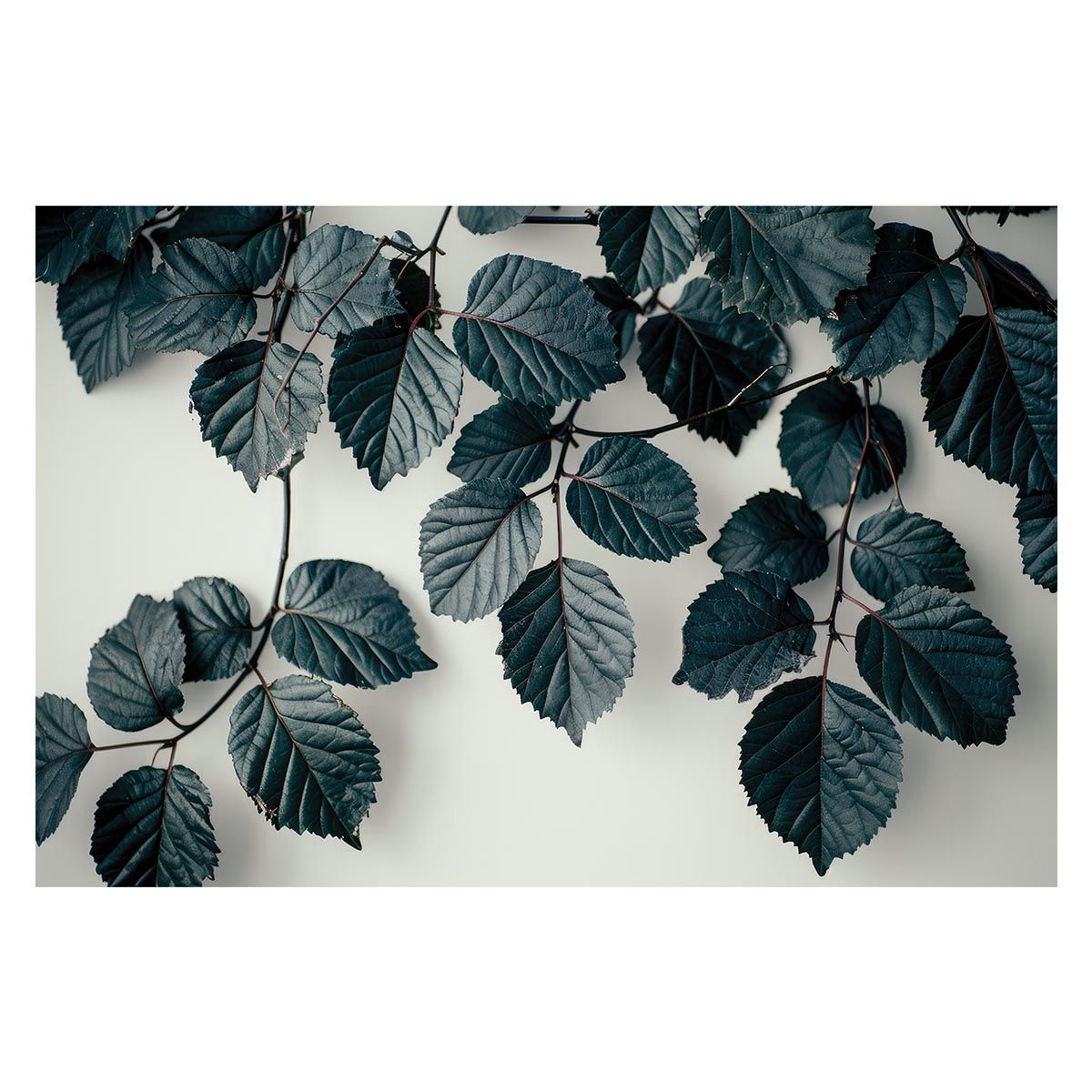 【A2サイズ（約42x59cm）】【lh-poster-4539】植物 グリーン 葉っぱ 観葉 ポスター ボタニカル 草 自然 インテリア アート