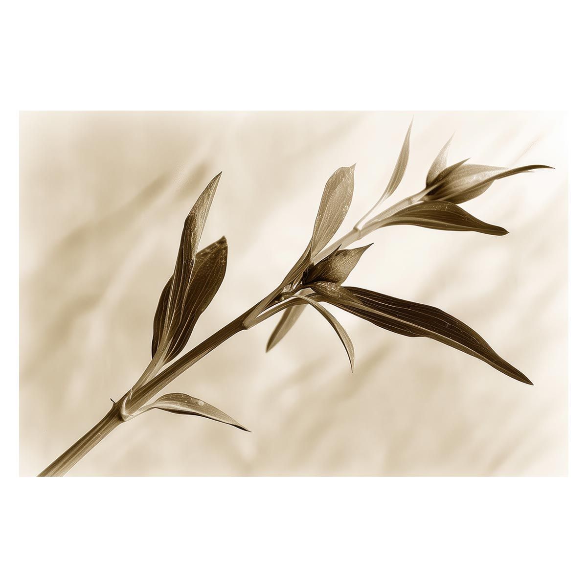 サフィリーン art glassリング シルバー （ヴィンテージ サフィレット