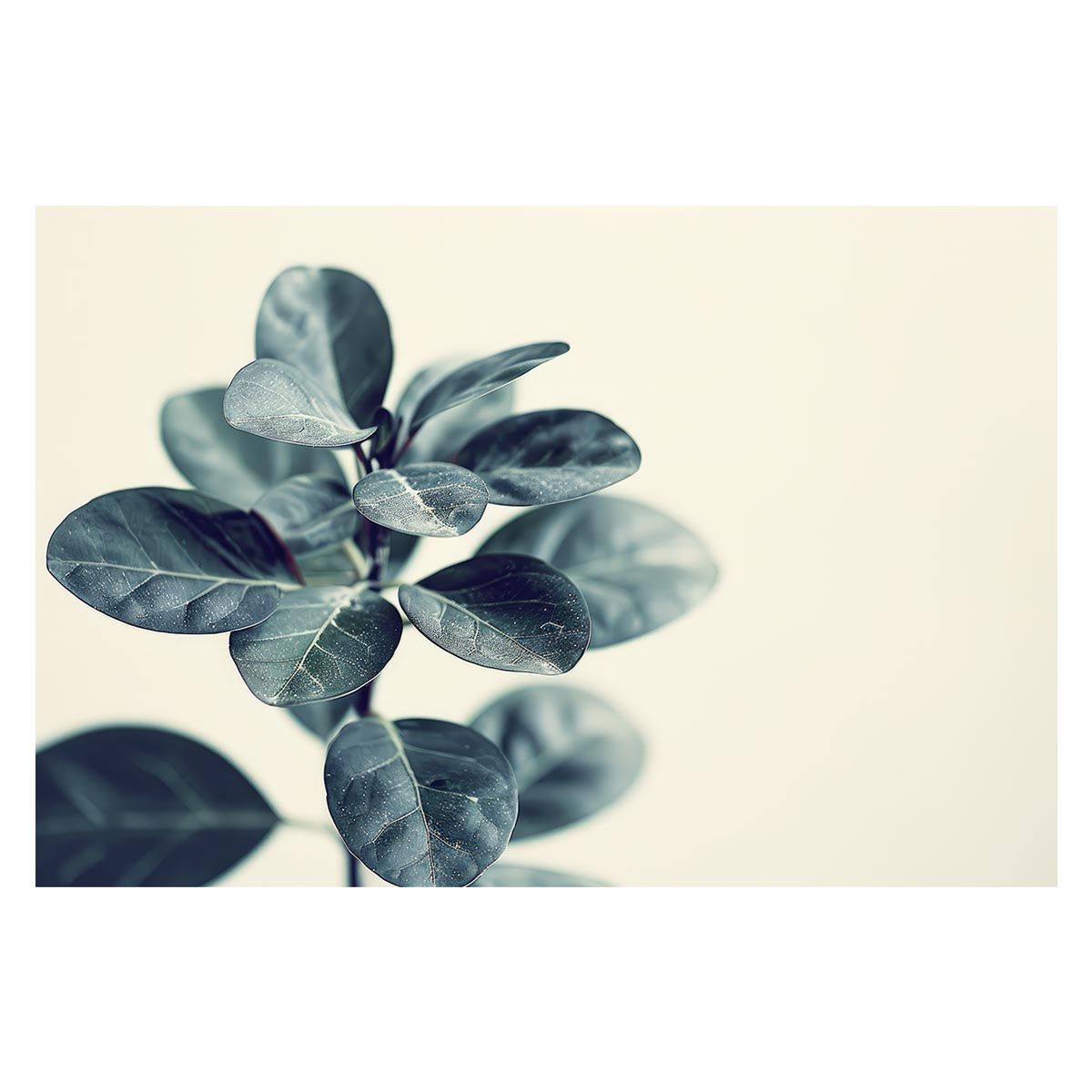 B1サイズ（約73x103cm）】【lh-poster-4544】植物 グリーン 葉っぱ