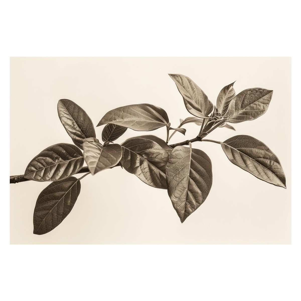 Melodi / Omni tone セミランダムシーケンサー モジュラーシンセ