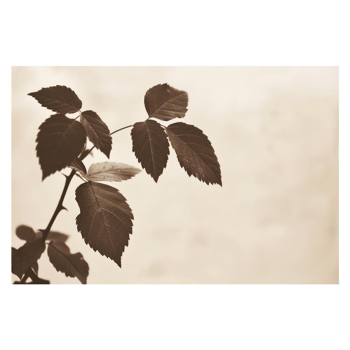 【A2サイズ（約42x59cm）】【lh-poster-4549】植物 グリーン 葉っぱ 観葉 ポスター ボタニカル 草 自然 インテリア アート