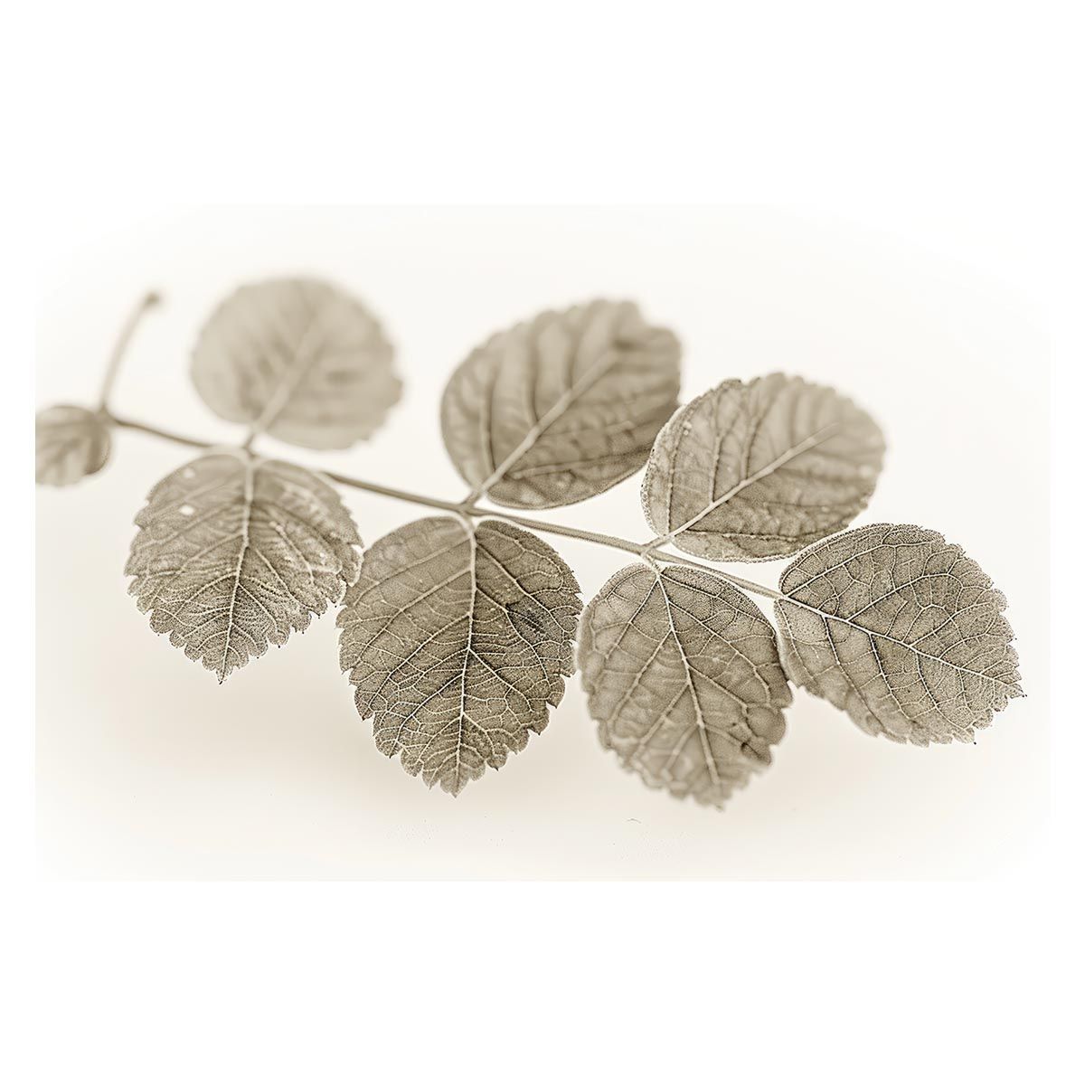 節約 動体波動還流法ゆらぎ 綿田幸雄 整体 理学療法士