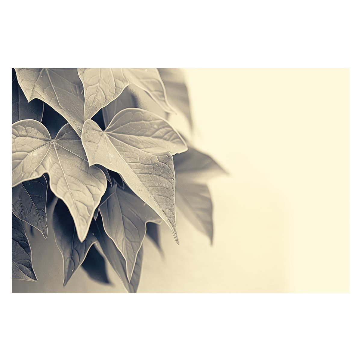 mountain reserch マウンテンリサーチ　ガス缶　水源の森2周年 山梨県道志エリアで人気のキャンプ場「水源の森」が、オープン2周年で