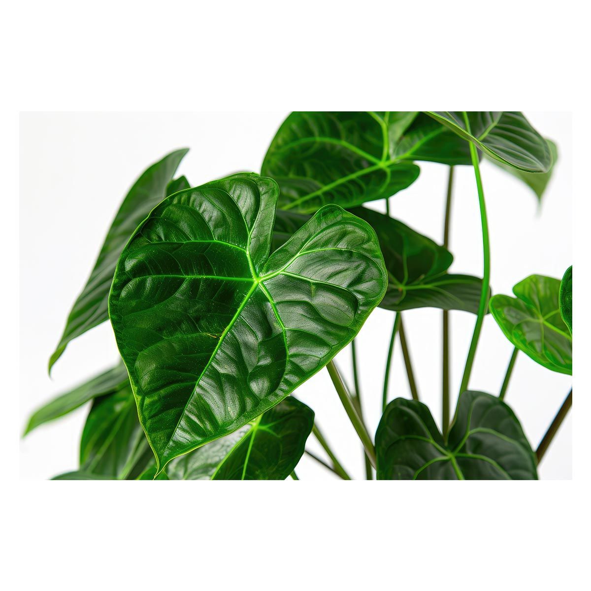 袋未開封】maymeiクリスマス シークレット 最高 winterweirdness