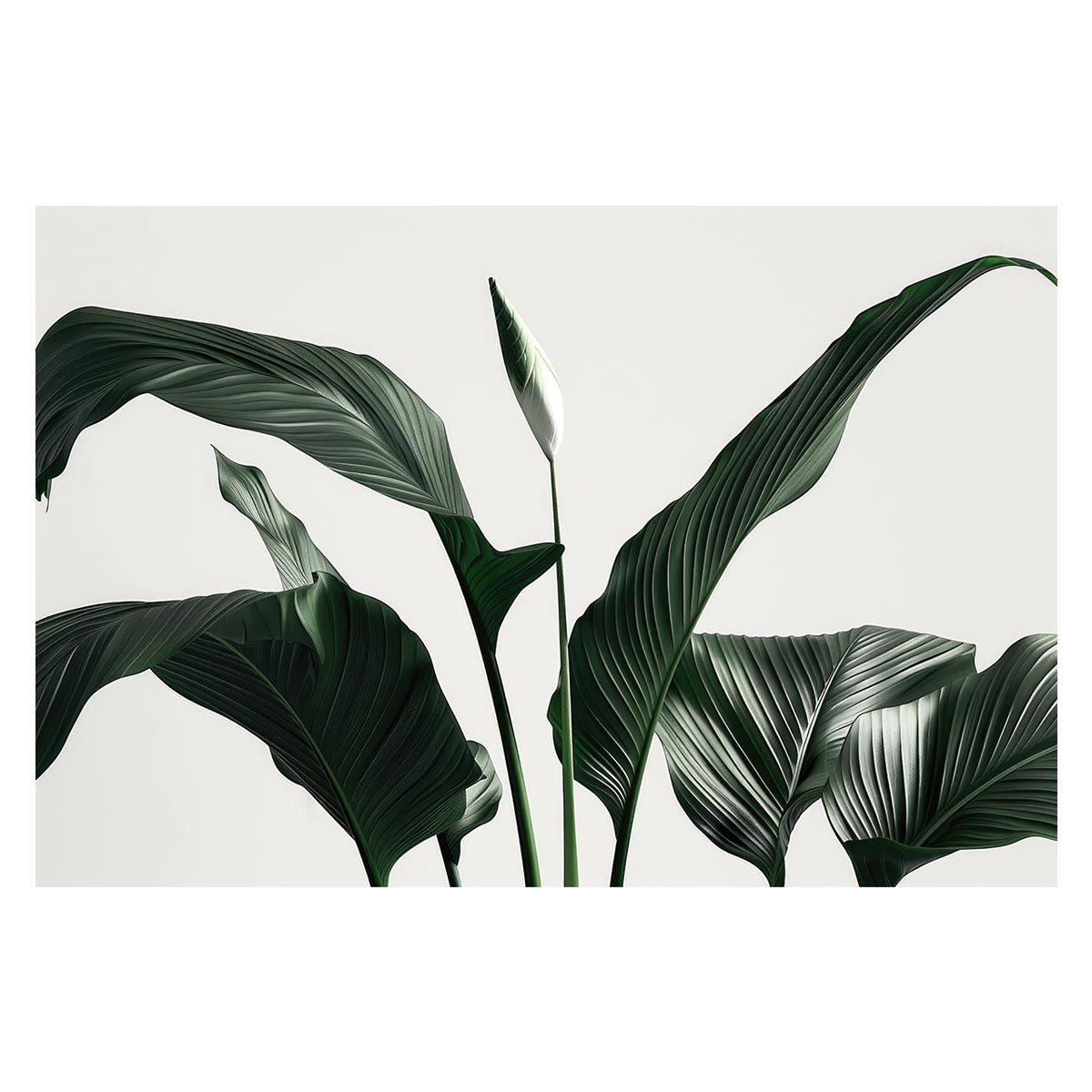 山本亮平『黒瓷碗』／フリーカップ 茶道具 初期伊万里 李朝 古唐津