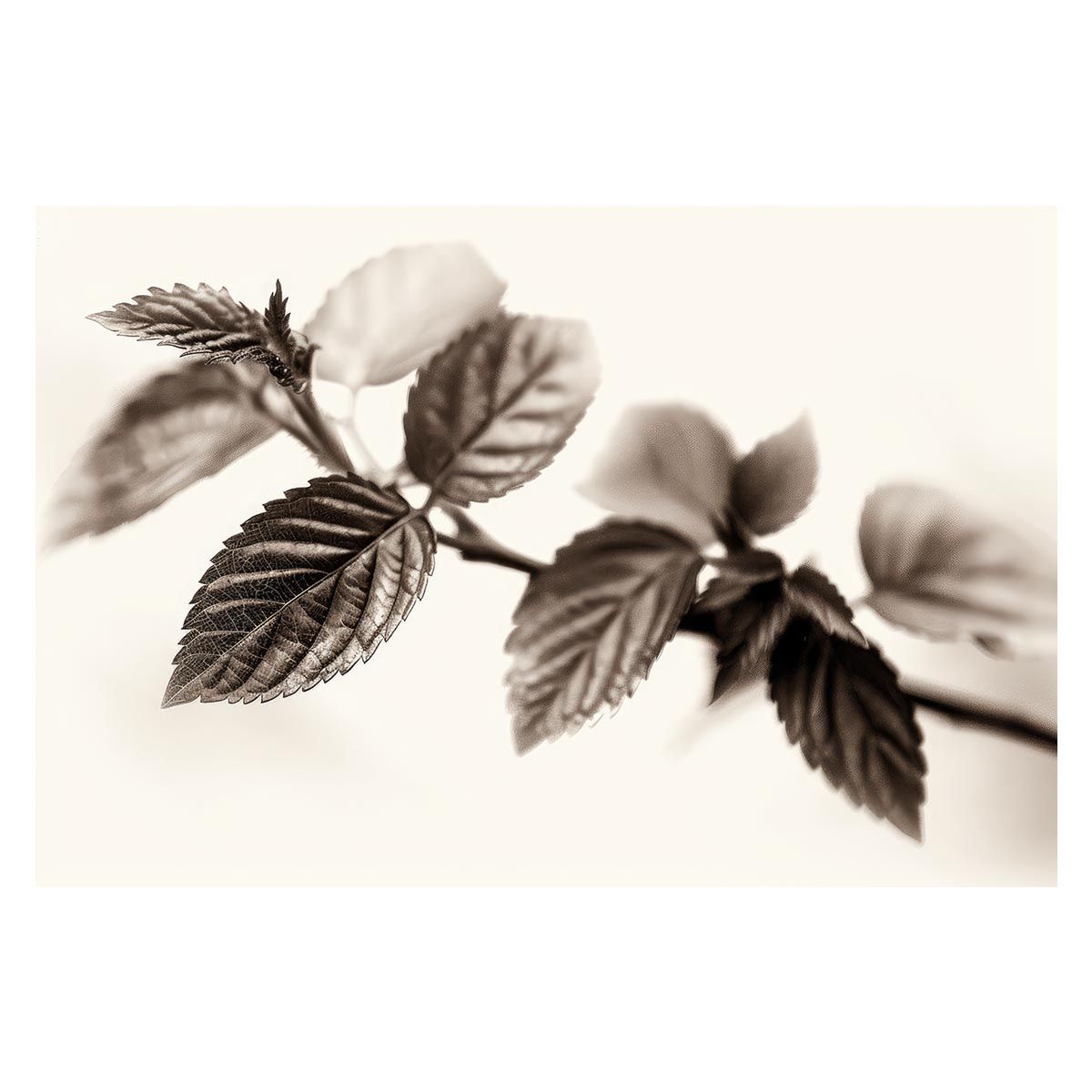 ビスクドール (1118-43br) サイズ 約43cm 作家様モノです。