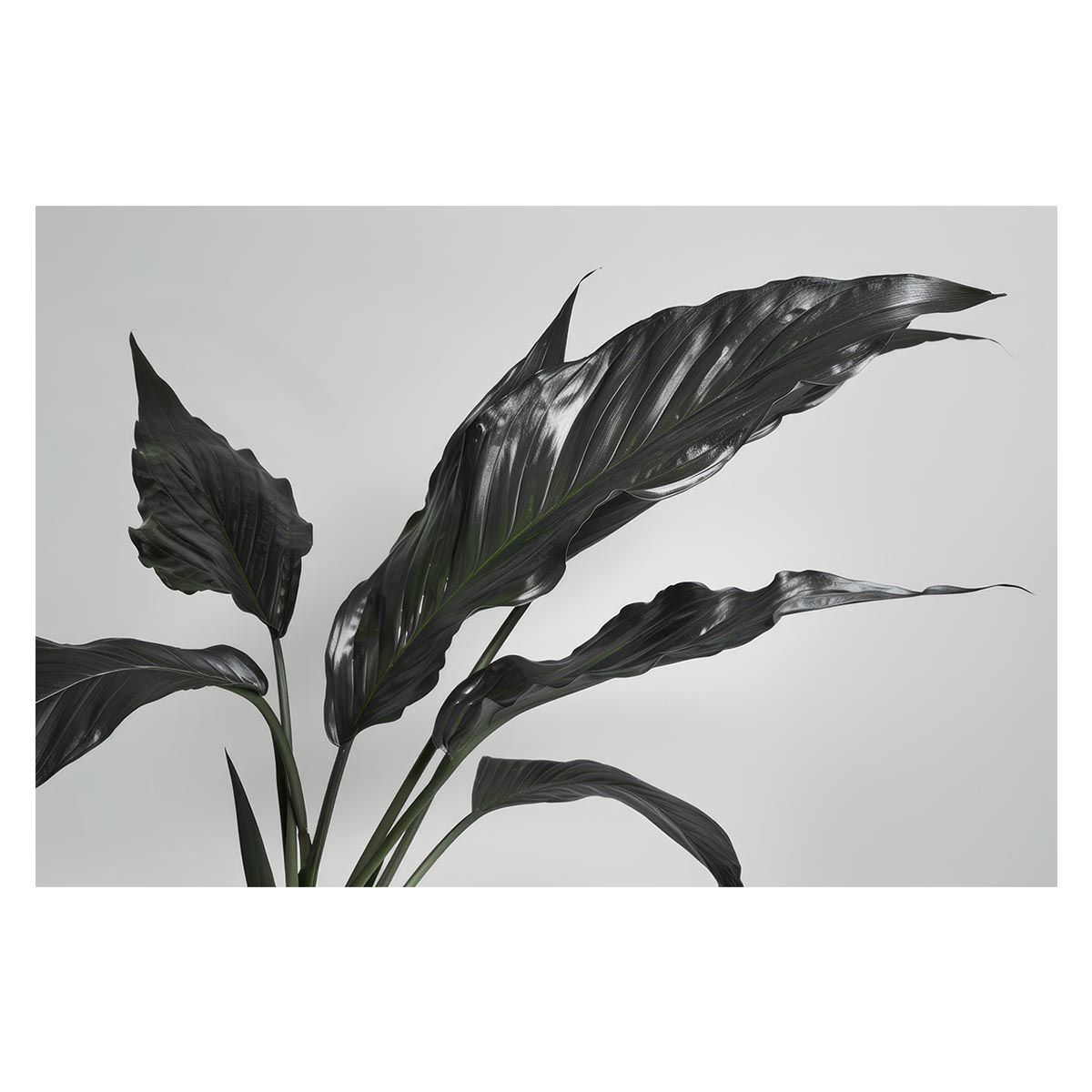 ゲルマン伝説 CD-BOX 銀河の騎士