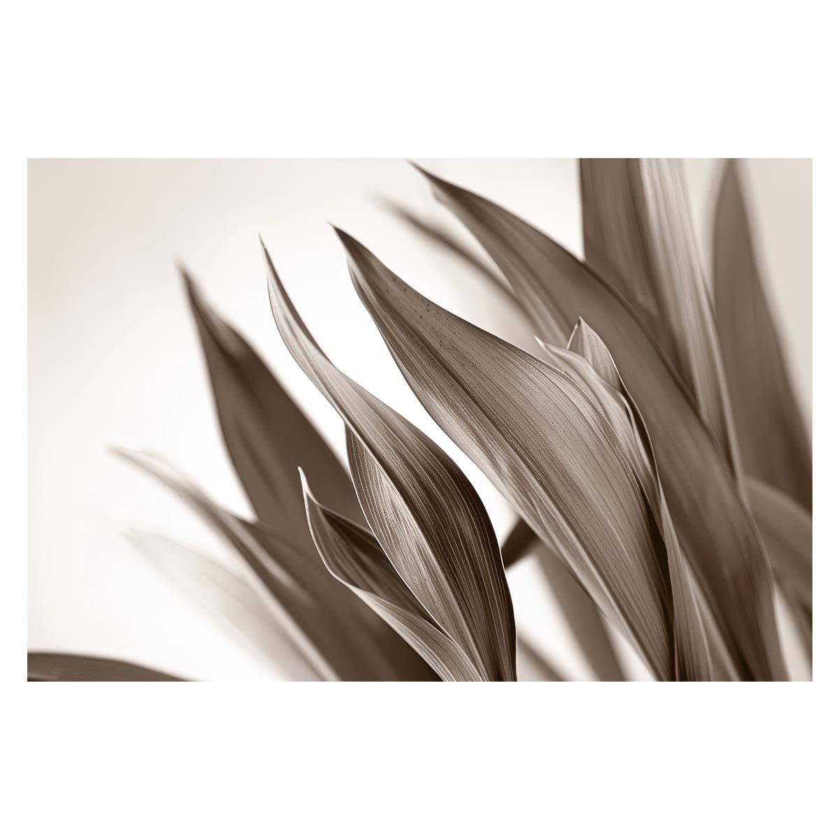 非常に良い】 BIOSTAR LGA 1151 プロセッサ対応 intel B250 チップセット ATXマザーボード TB250-BTC