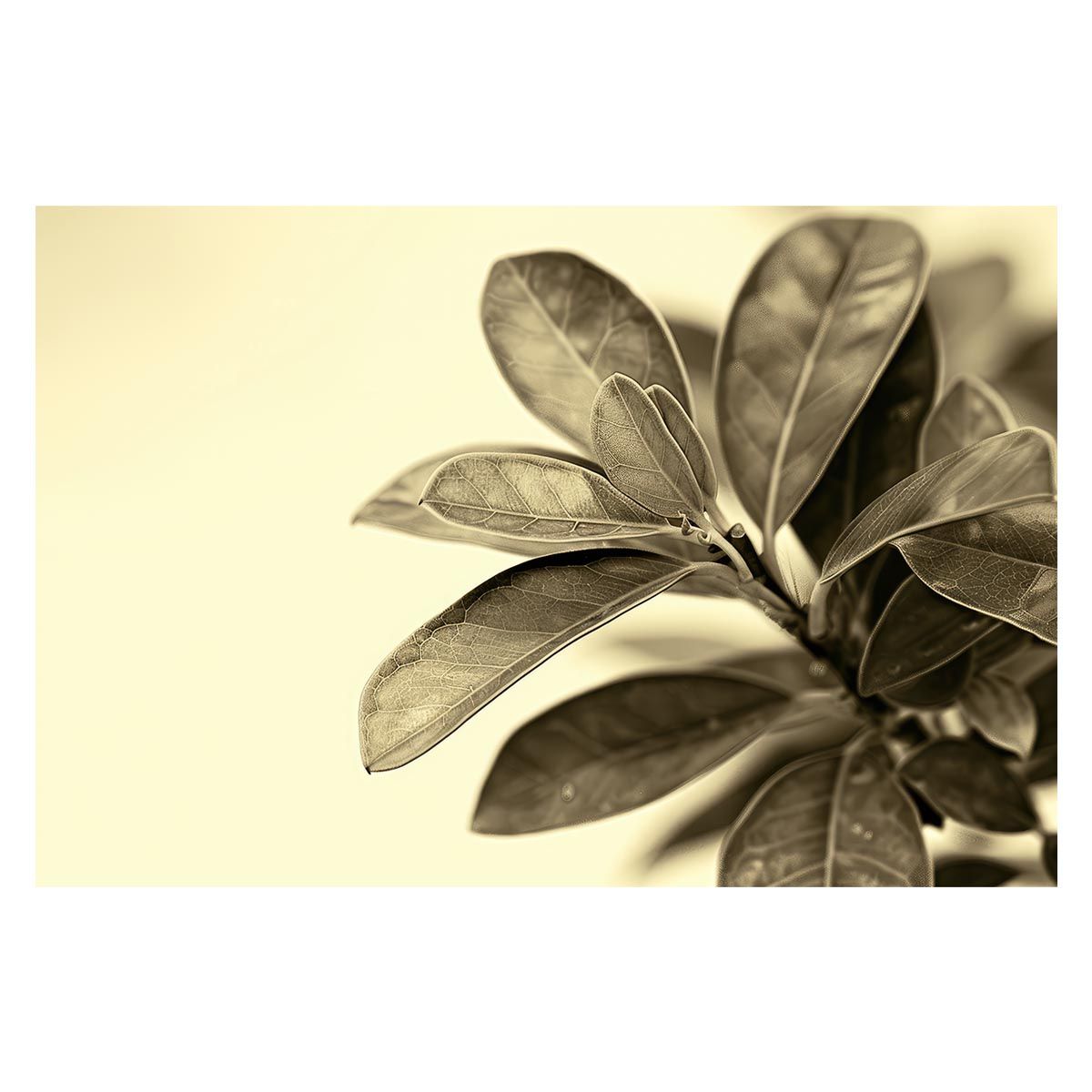 電動ポイントN-CPL317/280-45 【TOMIX・1279】 「鉄道模型 Nゲージ