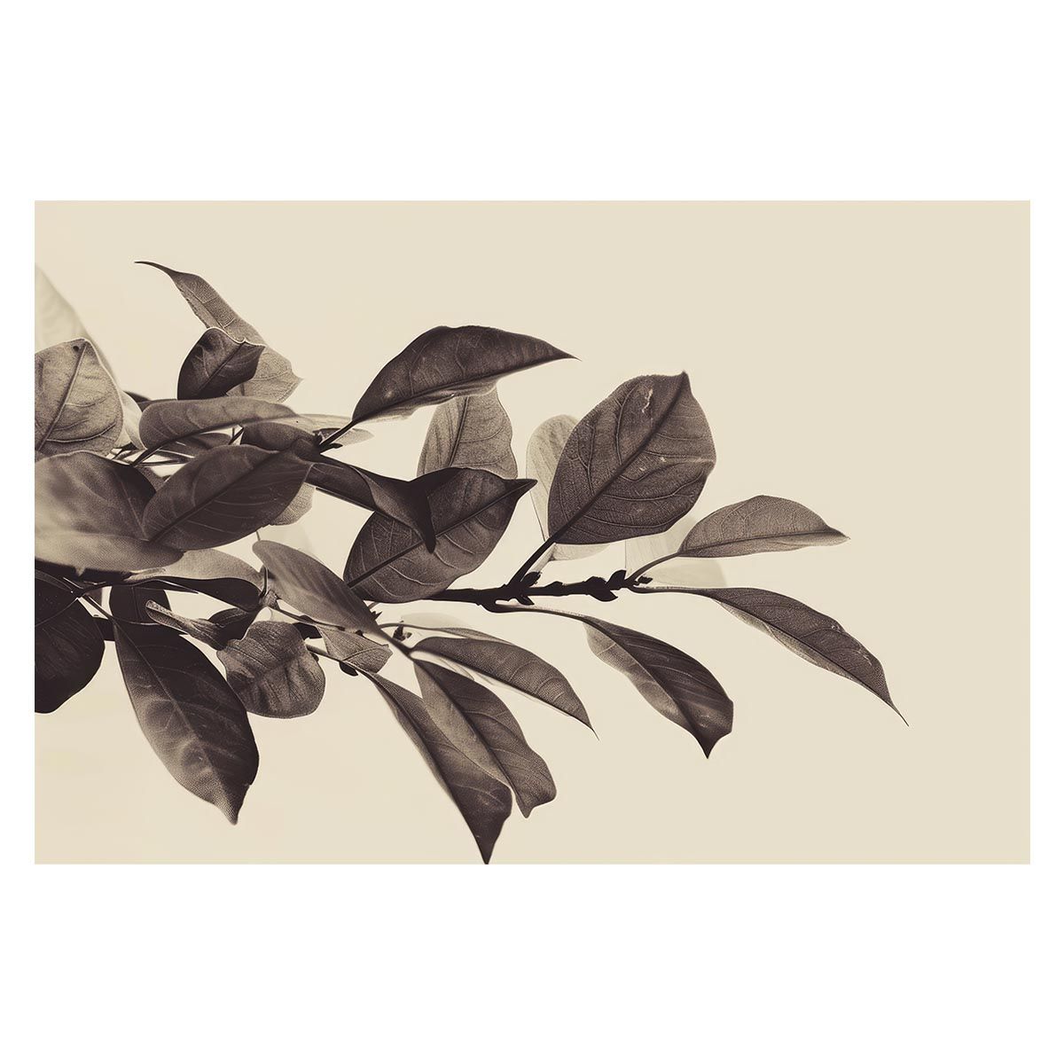 【B1サイズ（約73x103cm）】【lh-poster-4582】植物 グリーン 葉っぱ 観葉 ポスター ボタニカル 草 自然 インテリア アート