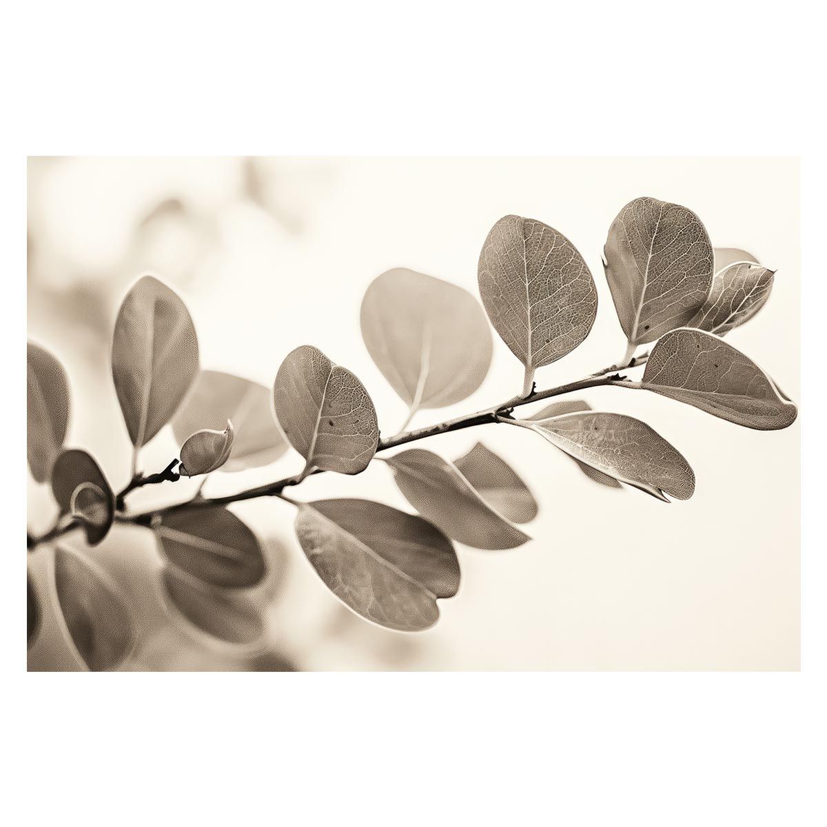 【A2サイズ（約42x59cm）】【lh-poster-4586】植物 グリーン 葉っぱ 観葉 ポスター ボタニカル 草 自然 インテリア アート