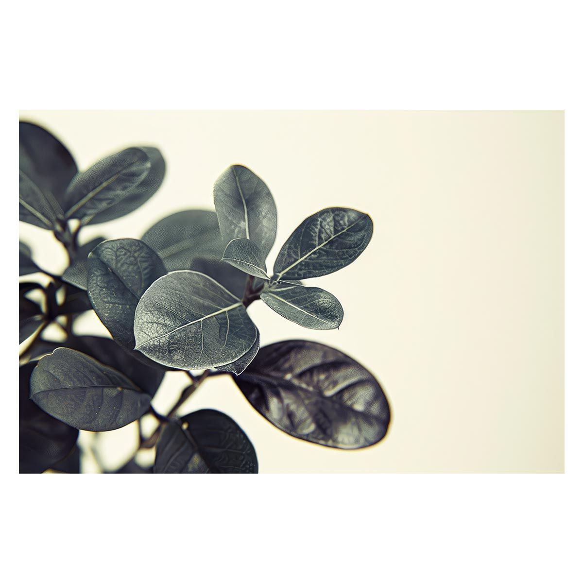 A 約42 x 59 cm lh poster 4589 植物 グリーン 葉っぱ 観葉 ポスター ボタニカル 草 自然 インテリア アート