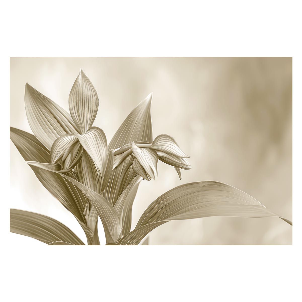 B 約73 x 103 cm lh poster 4591 植物 グリーン 葉っぱ 観葉 ポスター ボタニカル 草 自然 インテリア アート