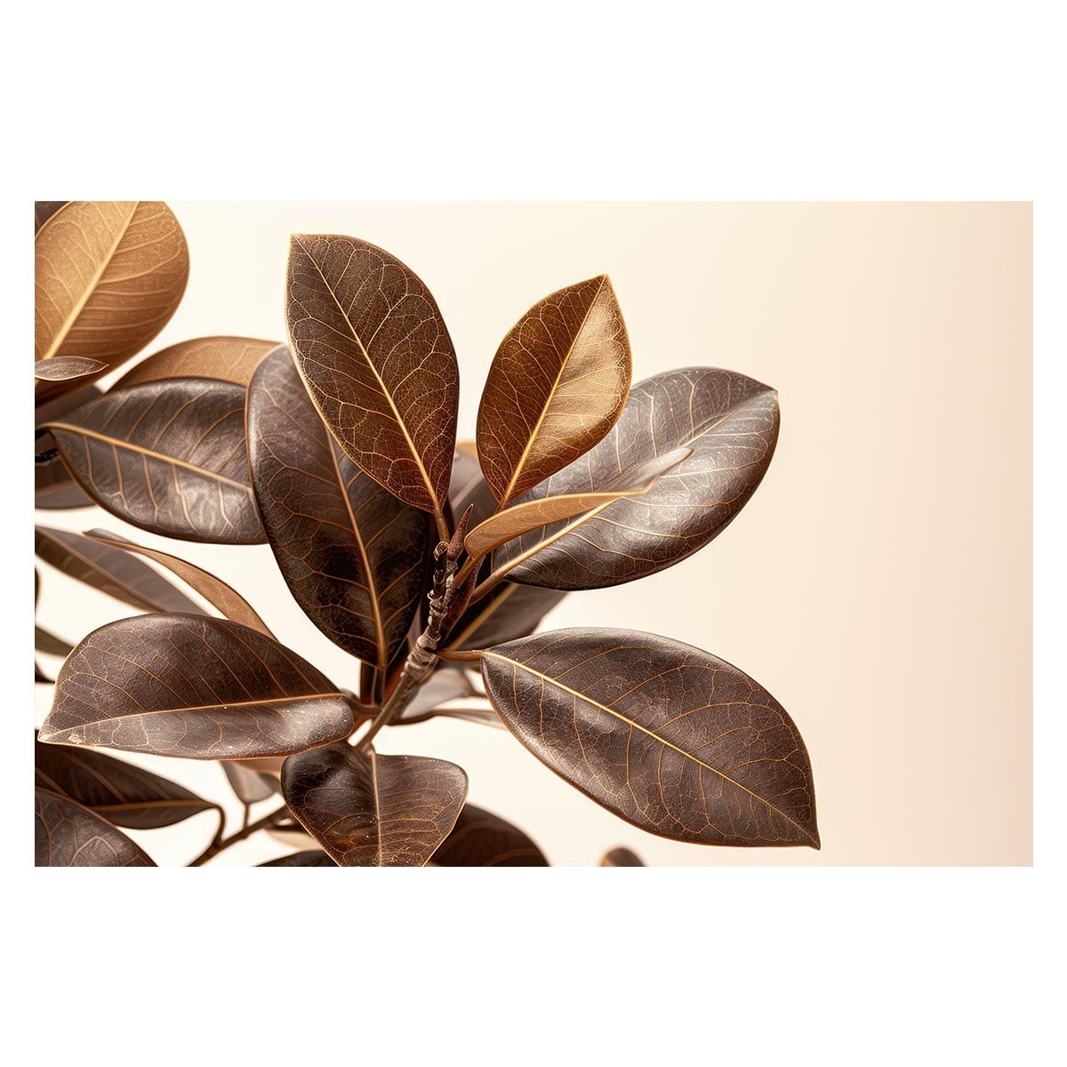 B 約51 x 73 cm lh-poster-4594 植物 グリーン 葉っぱ 観葉 ポスター ボタニカル 草 自然 インテリア アート