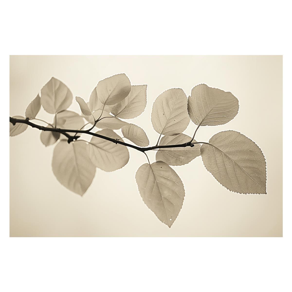 【B3サイズ（約36x51cm）】【lh-poster-4595】植物 グリーン 葉っぱ 観葉 ポスター ボタニカル 草 自然 インテリア  アート