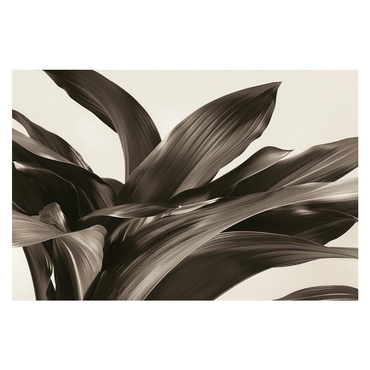 A 約59 x 84 cm lh-poster-4600 植物 グリーン 葉っぱ 観葉 ポスター ボタニカル 草 自然 インテリア アート