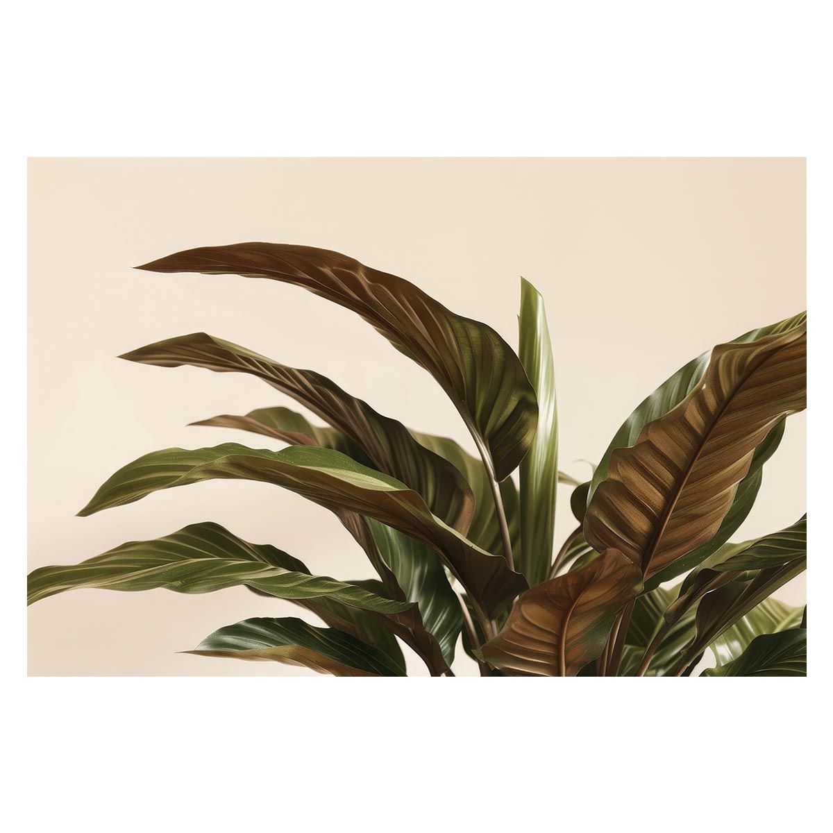 B 約73 x 103 cm lh poster 4601 植物 グリーン 葉っぱ 観葉 ポスター ボタニカル 草 自然 インテリア アート