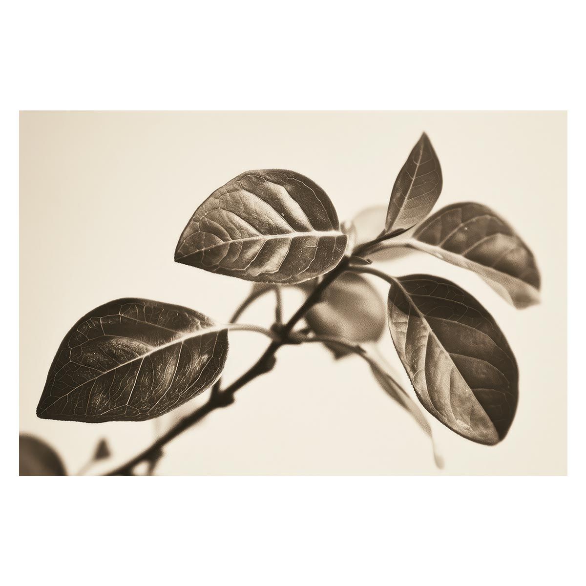 A 約42 x 59 cm lh-poster-4602 植物 グリーン 葉っぱ 観葉 ポスター ボタニカル 草 自然 インテリア アート