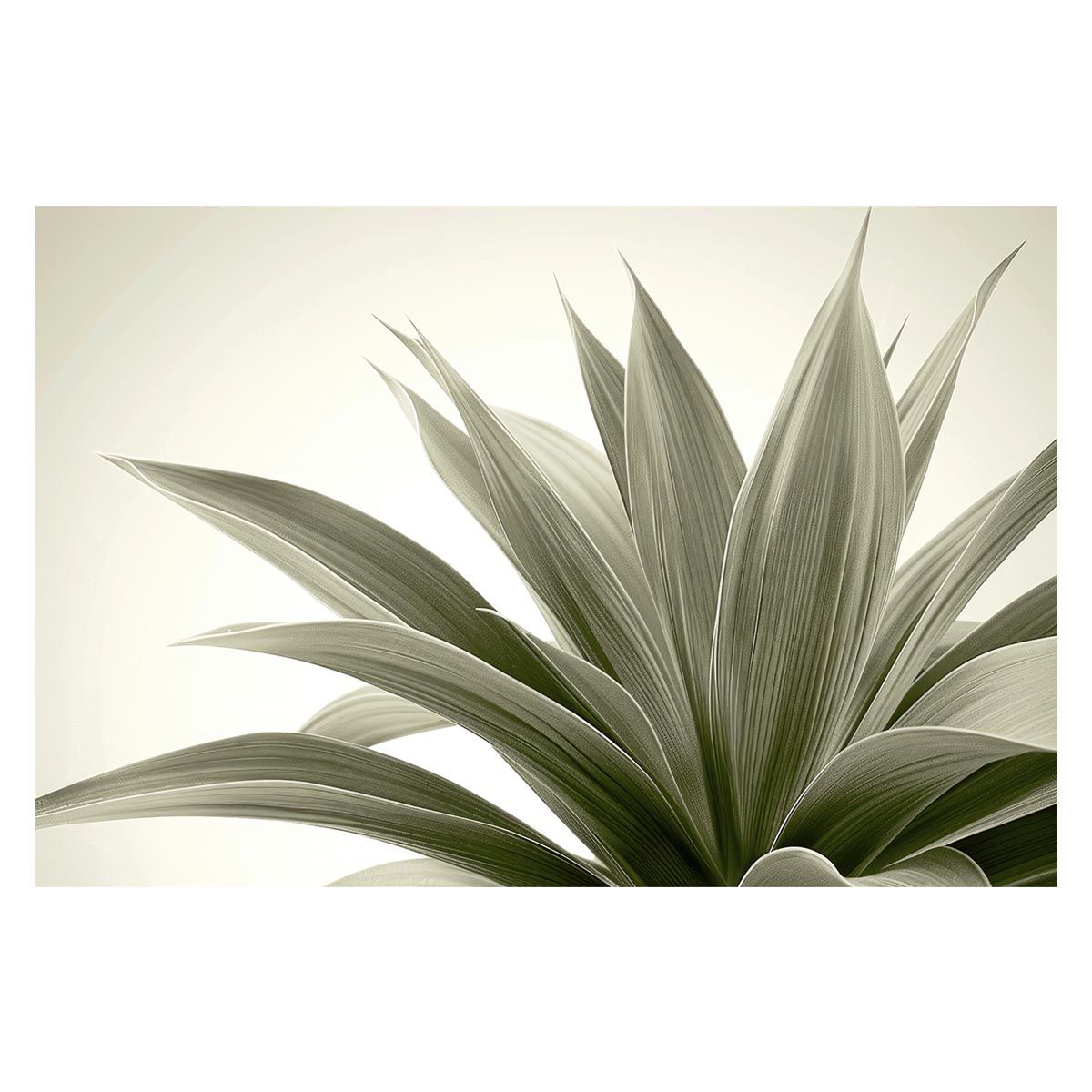 A 約84 x 119 cm lh-poster-4603 植物 グリーン 葉っぱ 観葉 ポスター ボタニカル 草 自然 インテリア アート