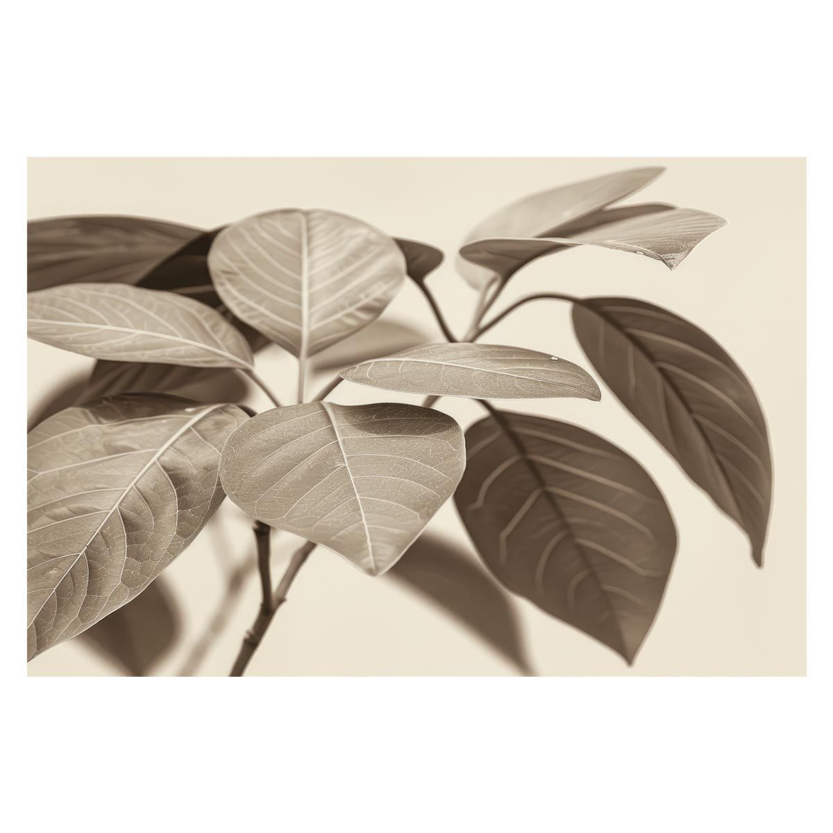 B 約51 x 73 cm lh-poster-4604 植物 グリーン 葉っぱ 観葉 ポスター ボタニカル 草 自然 インテリア アート