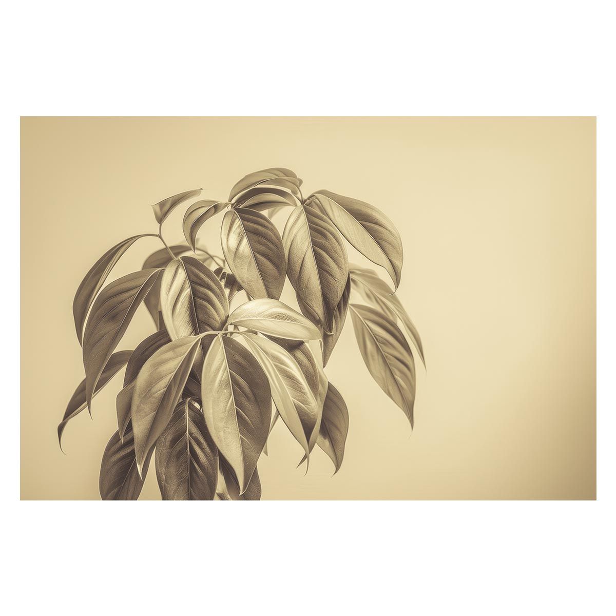 B 約73 x 103 cm lh poster 4605 植物 グリーン 葉っぱ 観葉 ポスター ボタニカル 草 自然 インテリア アート