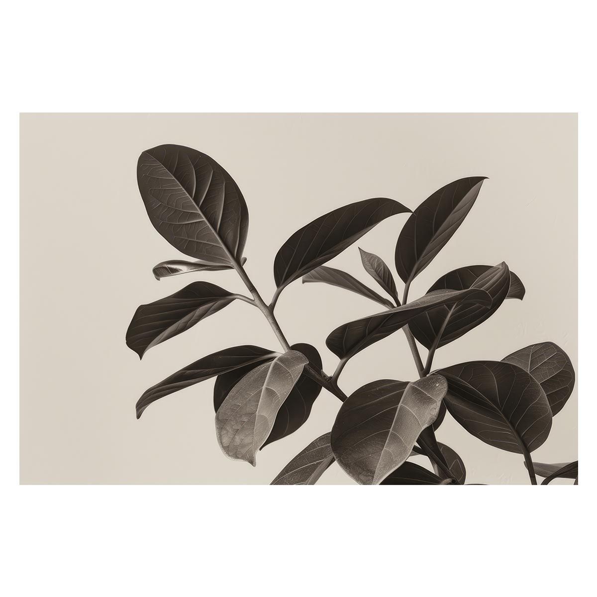 A 約59 x 84 cm lh poster 4607 植物 グリーン 葉っぱ 観葉 ポスター ボタニカル 草 自然 インテリア アート