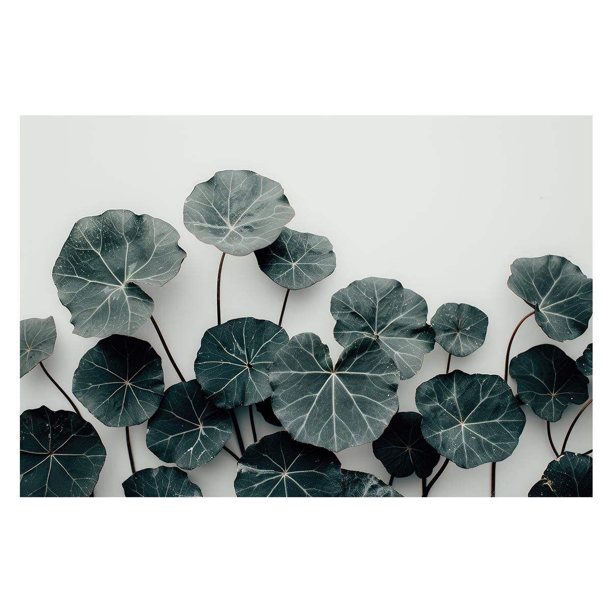 A 約59 x 84 cm lh poster 4609 植物 グリーン 葉っぱ 観葉 ポスター ボタニカル 草 自然 インテリア アート