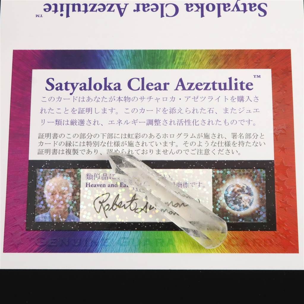 E社 サチャロカ