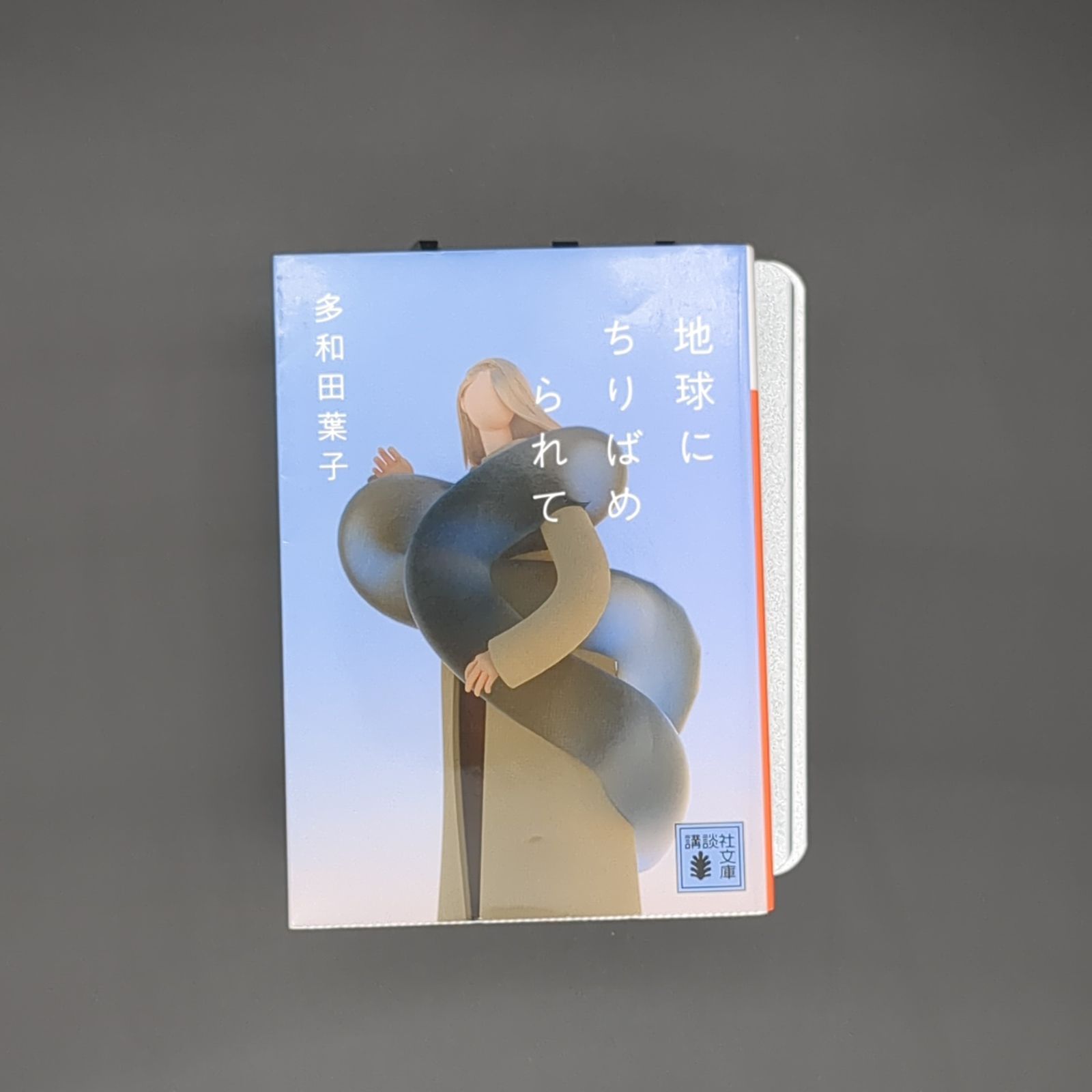 地球にちりばめられて / 多和田 葉子 / 9784065238158 - メルカリ