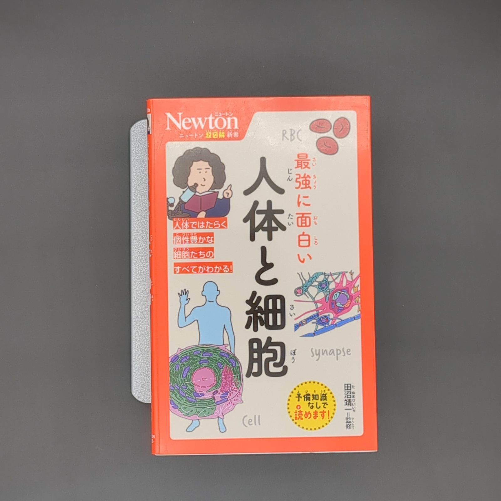 ニュートン超図解新書?最強に面白い?人体と細胞 / 9784315528794