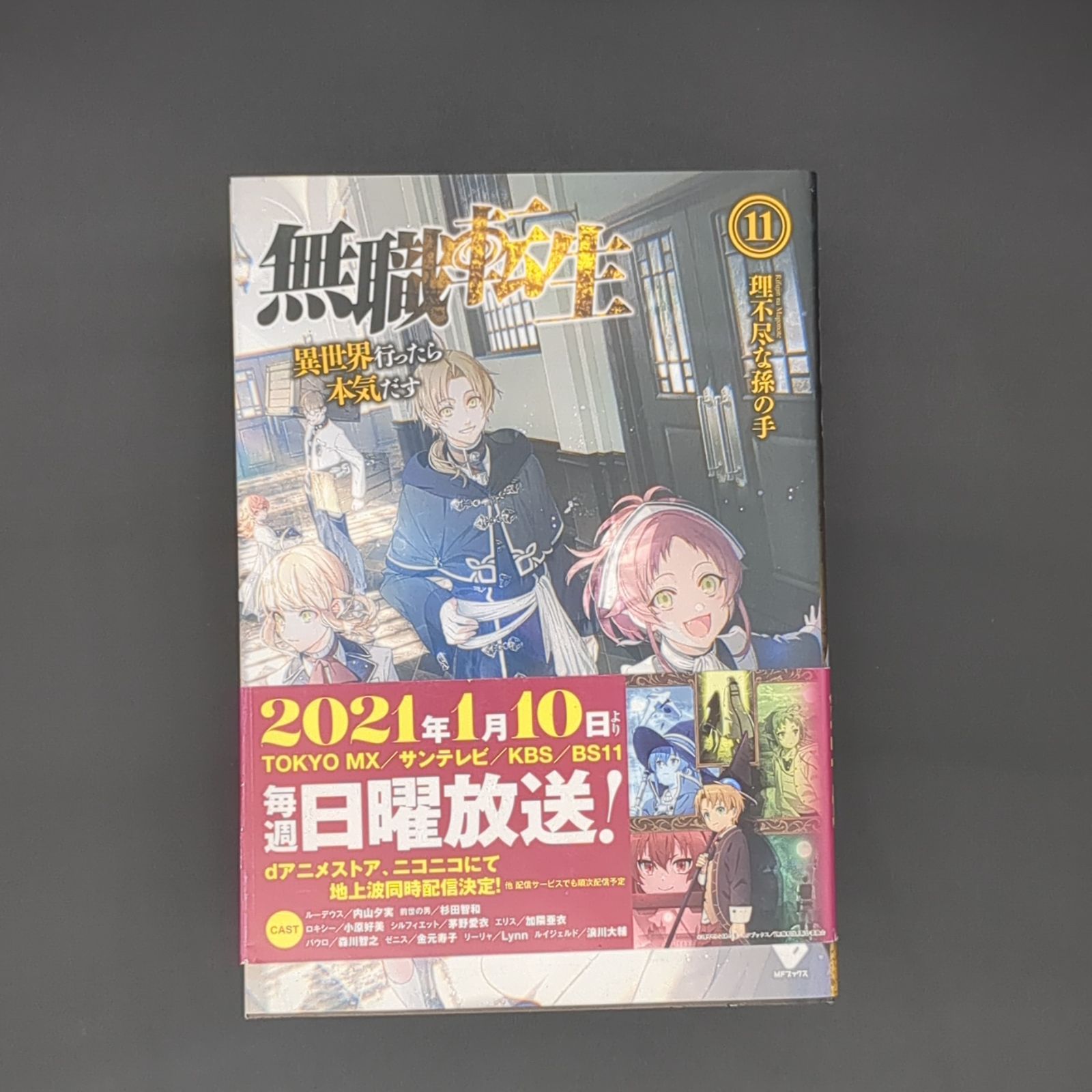 無職転生 異世界行ったら本気だす (11) / 理不尽な孫の手 