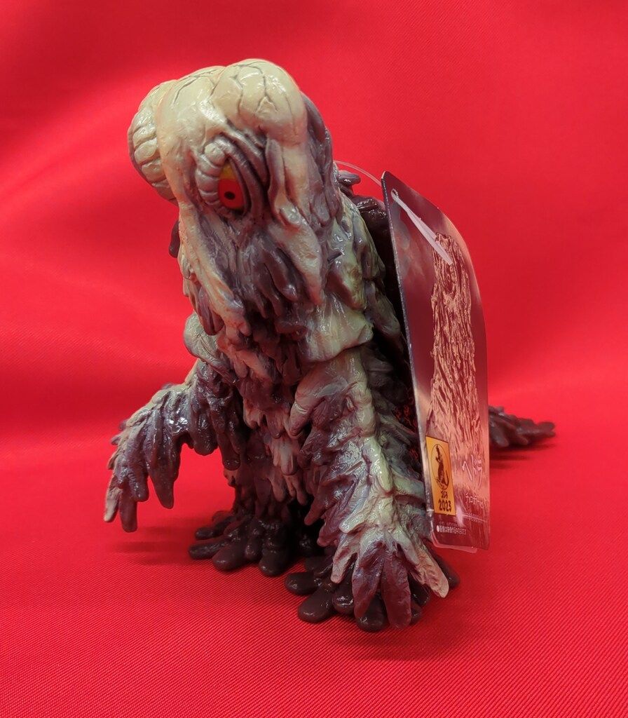 サソリ 標本 木製フレーム