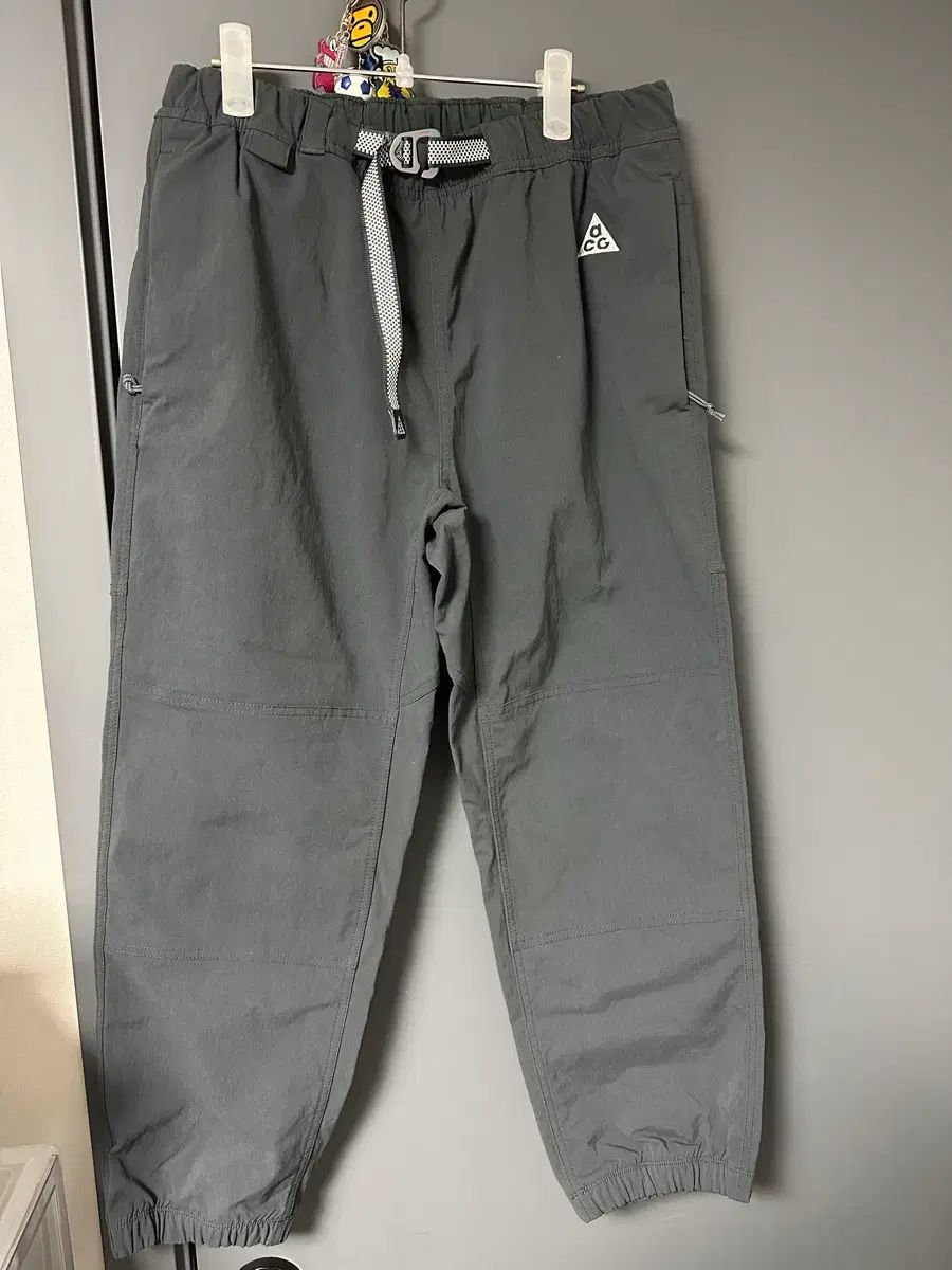 NIKE acg トレイル ズボン large ₍ラージ