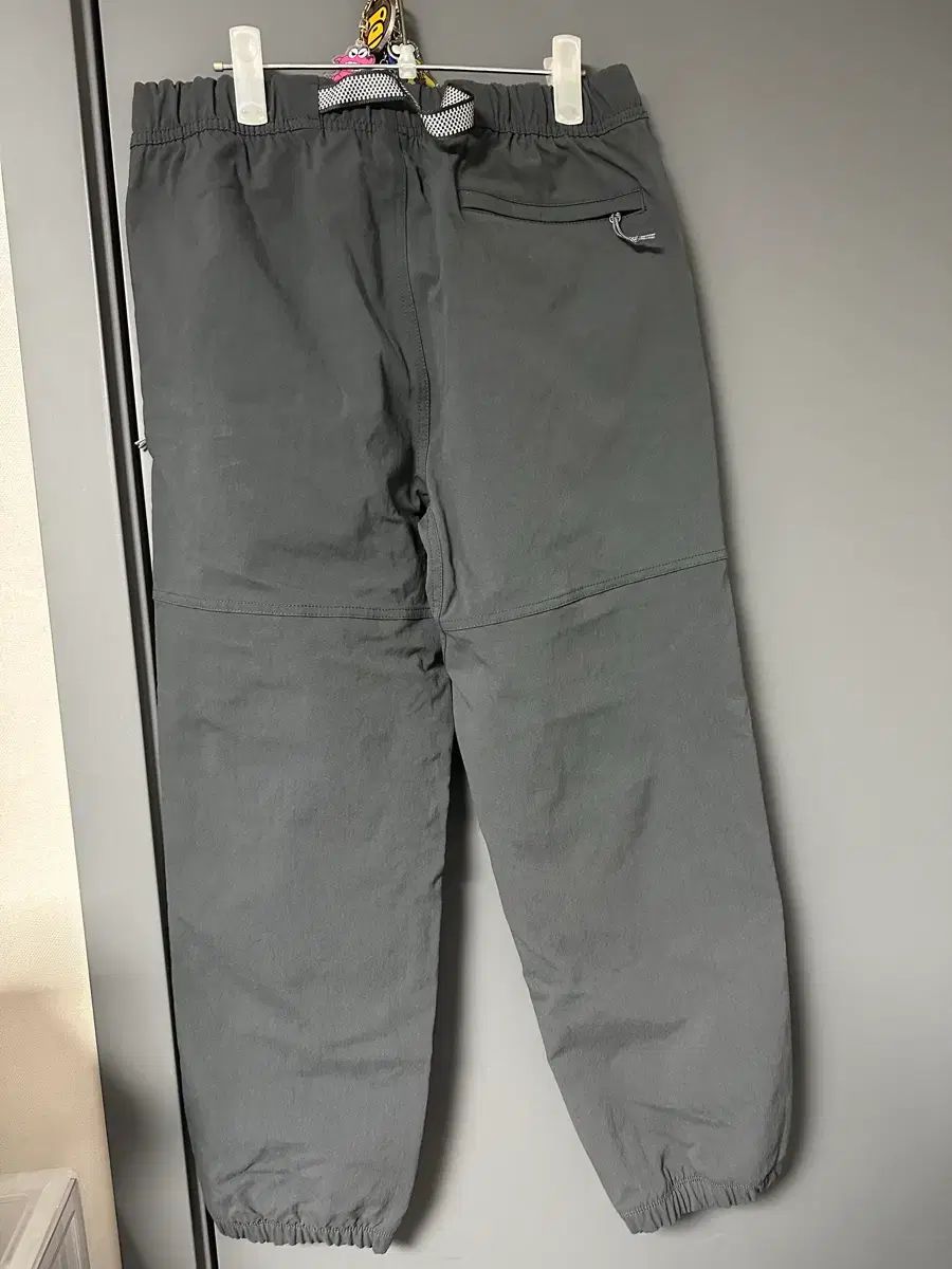 NIKE acg トレイル ズボン large ₍ラージ