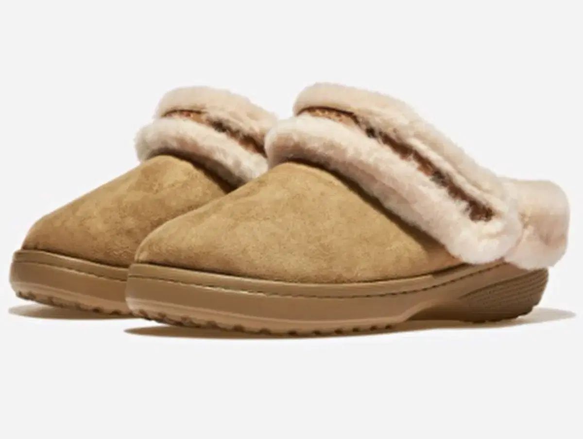 クロックス アンパゲッタブル 260