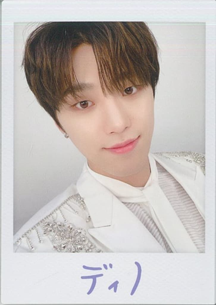 SEVENTEEN 20年SVT DINO トレーディングカード チェキ風 - メルカリ