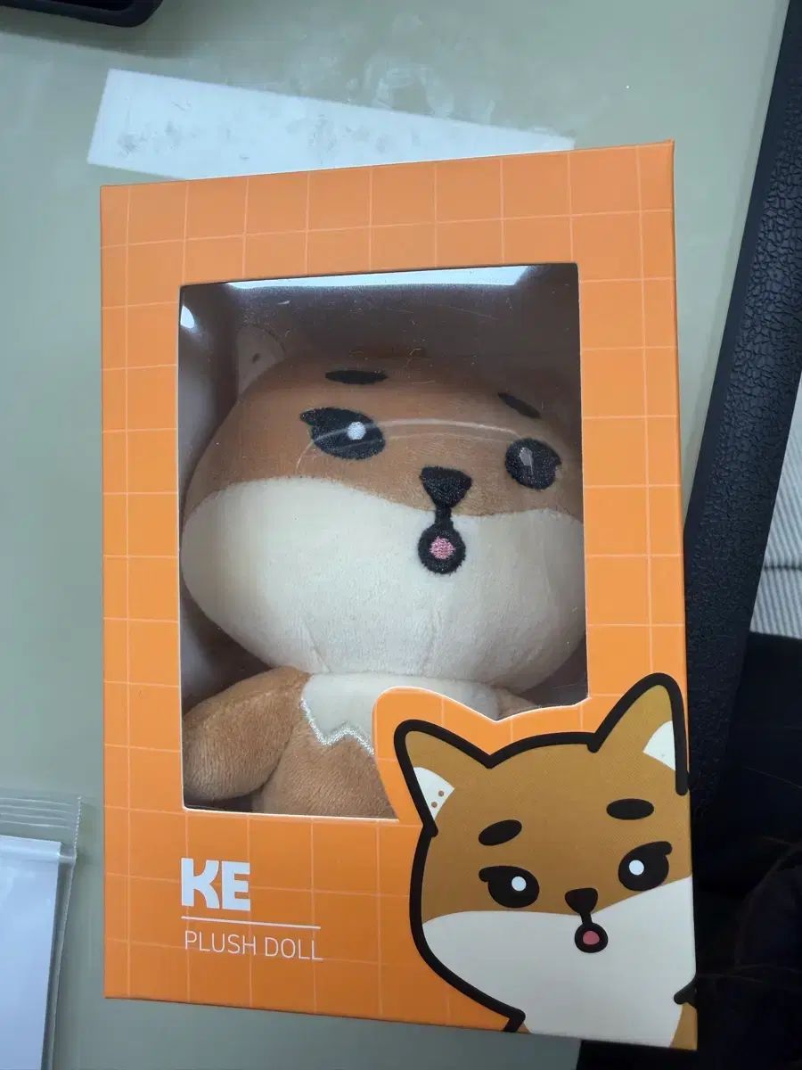 DAY6（デイシックス） デニマルズ(DENIMALZ) 22 ケ 未開封 ヨンケイ