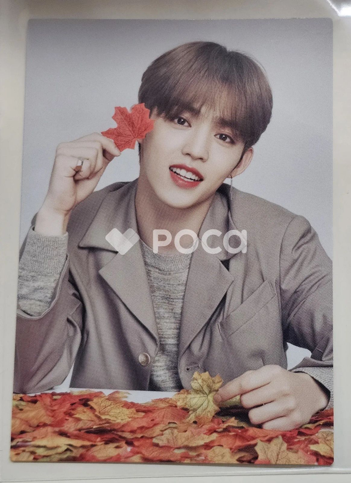 Seventeen エスクプス セブチ SEVENTEEN WORLD TOUR ODE TO YOU IN