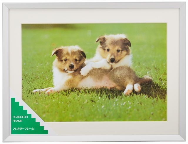 額縁 A 10 N ワイド4切 アルミ シルバー 17616