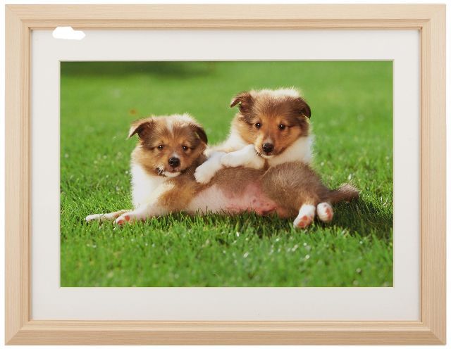 額縁 M 12 アクリル 木地 ワイド4切 木製 ベージュ 47024